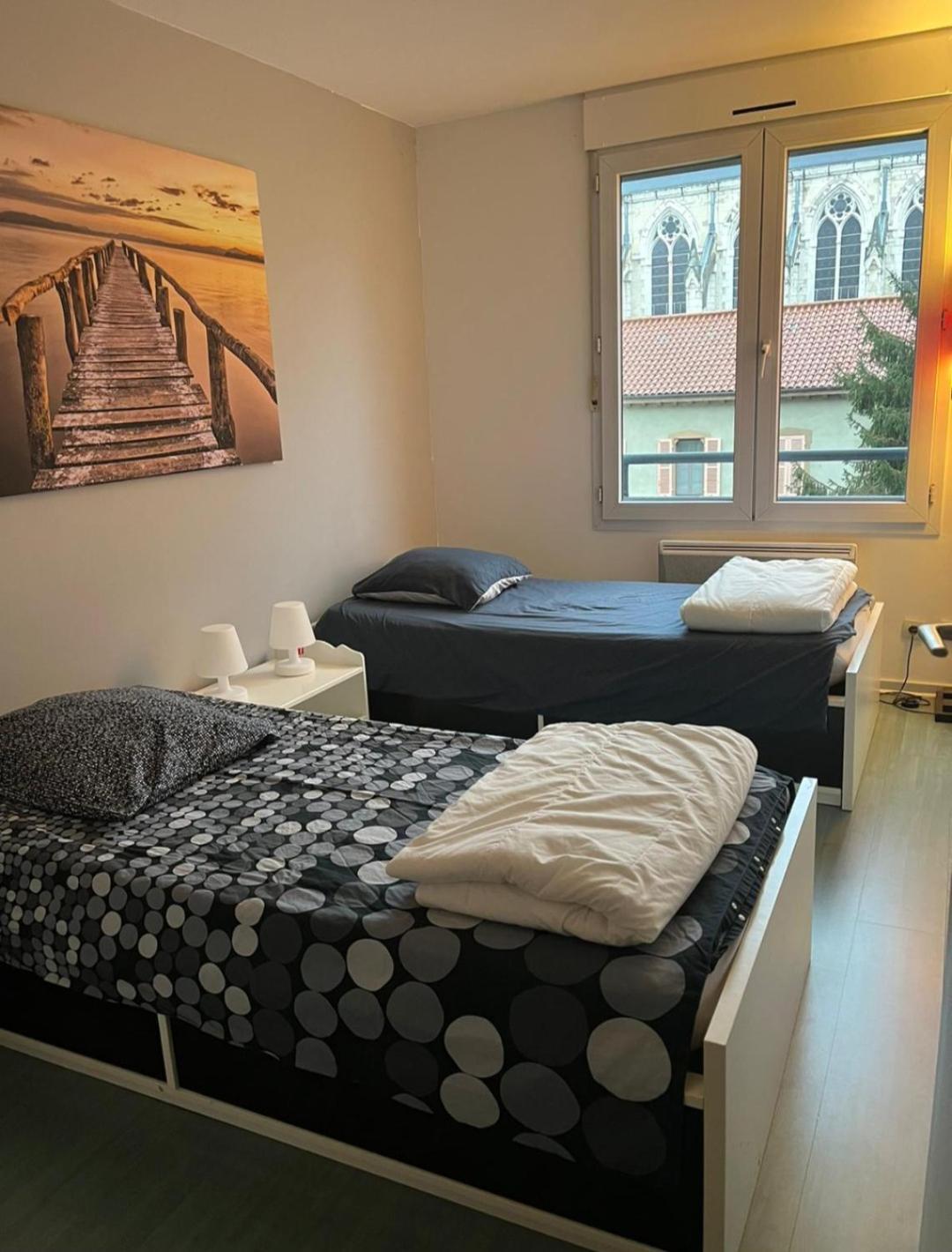 115 Rue Vauban Apartment Lyon Bagian luar foto