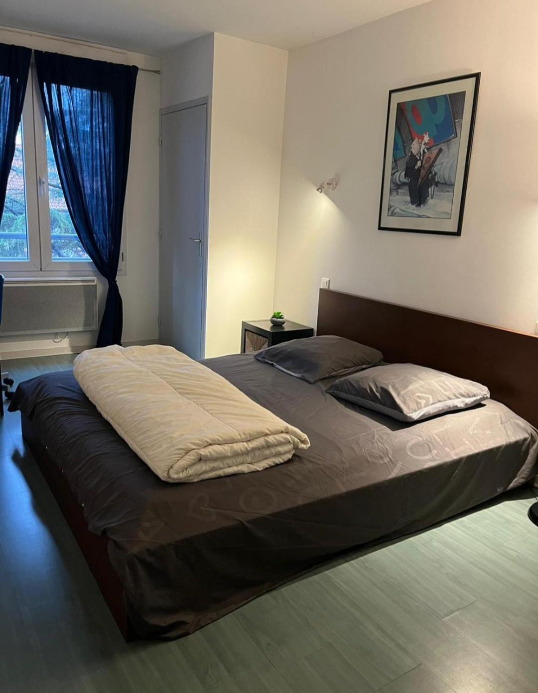 115 Rue Vauban Apartment Lyon Bagian luar foto